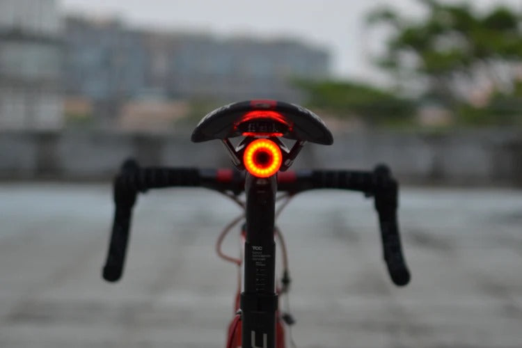 Luz Trasera XLITE100 SMART, carga USB