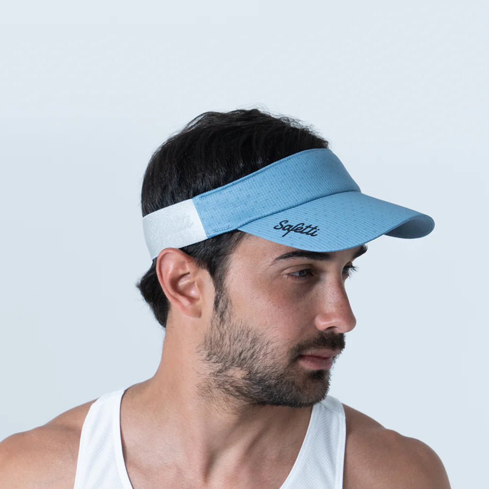 Visera
